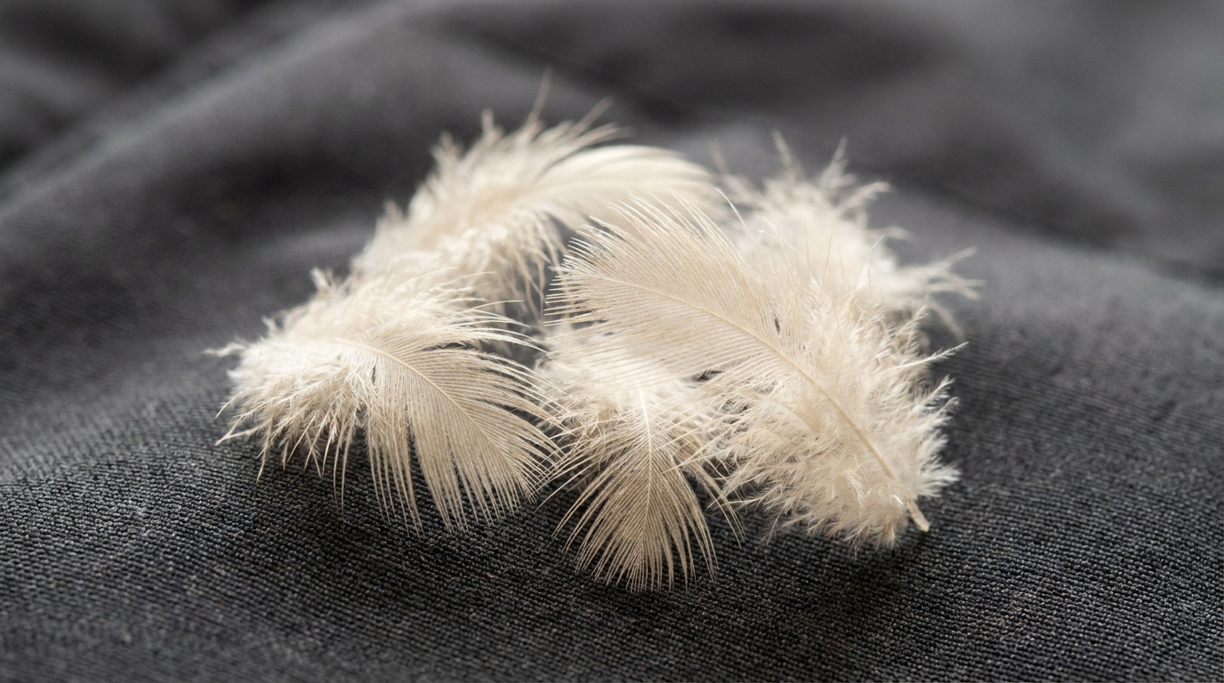 down jacket fluffy natural